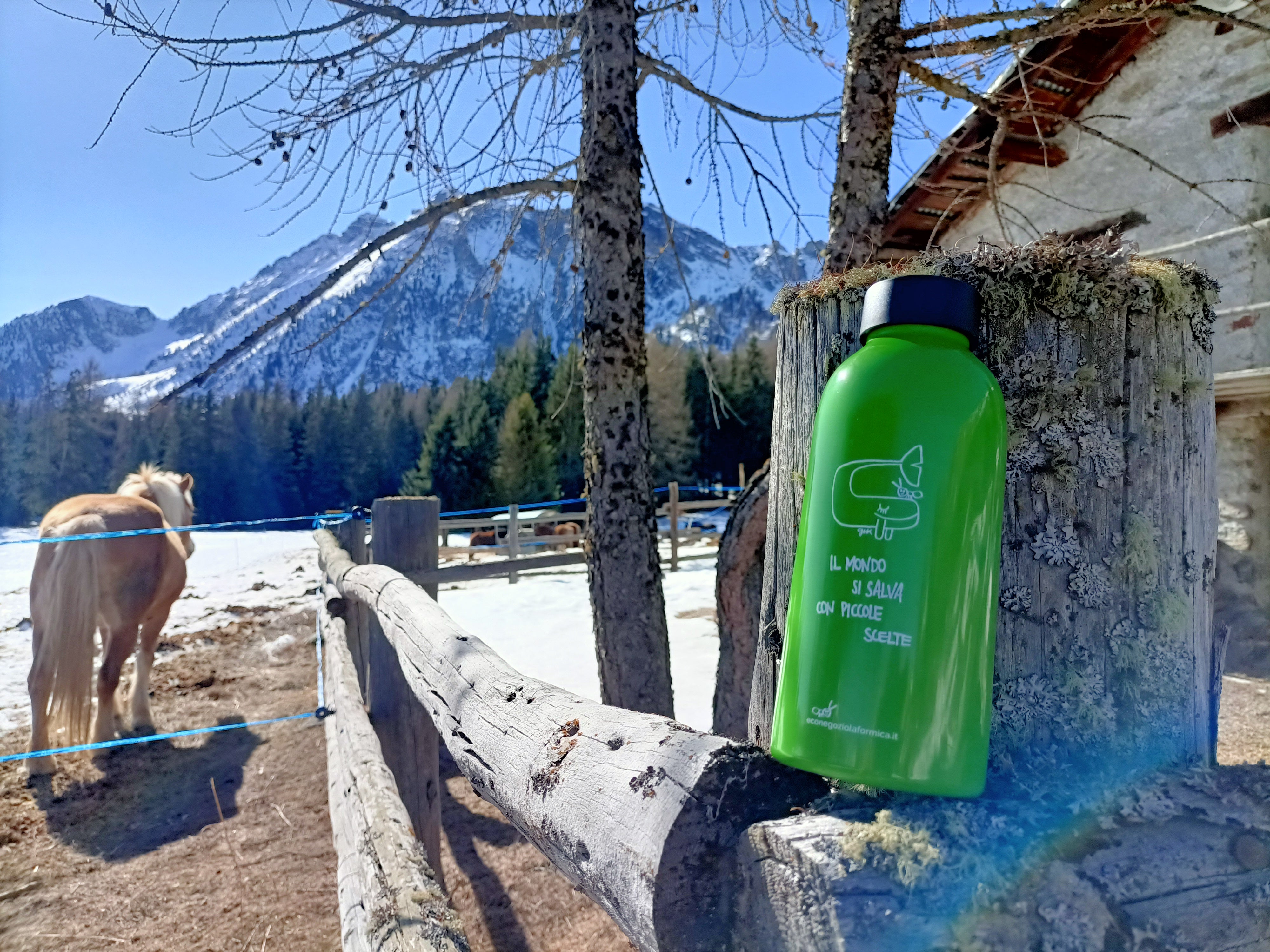 La borraccia delle piccole scelte (formica & Gek Tessaro) - in acciaio termica